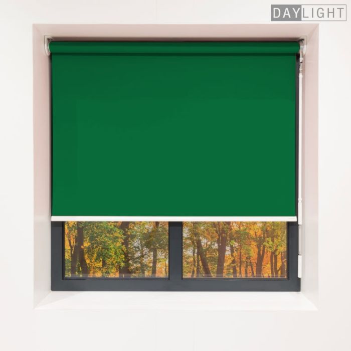 Daylight roller blind installed