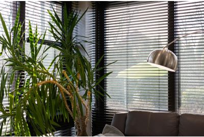 Office Blinds