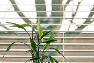 5 Mistakes to Avoid When Installing Office Vertical Blinds