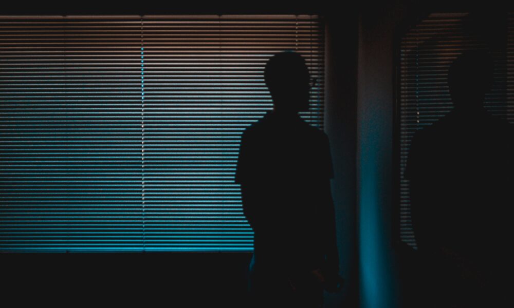 The Science Behind Thermal Blinds: How Do They Keep Heat Out?